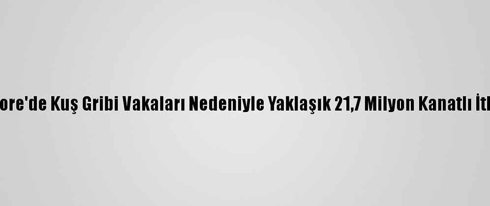 Güney Kore'de Kuş Gribi Vakaları Nedeniyle Yaklaşık 21,7 Milyon Kanatlı İtlaf Edildi
