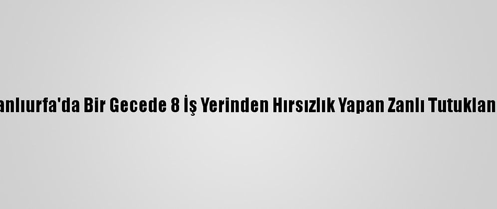 Şanlıurfa'da Bir Gecede 8 İş Yerinden Hırsızlık Yapan Zanlı Tutuklandı