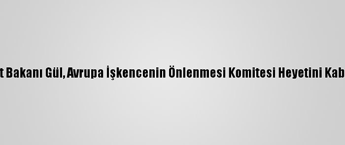 Adalet Bakanı Gül, Avrupa İşkencenin Önlenmesi Komitesi Heyetini Kabul Etti