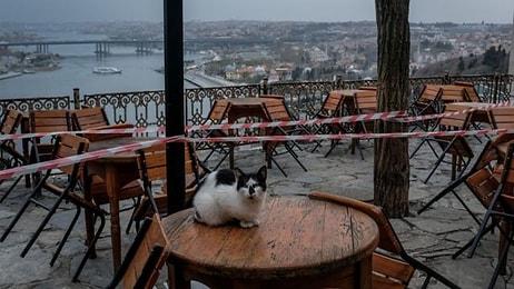 Prof. Dr. Serap Şimşek Yavuz: 'İstanbul’da Kapalı Mekanlarda Maskesiz Oturmak İçin Çok Erken'
