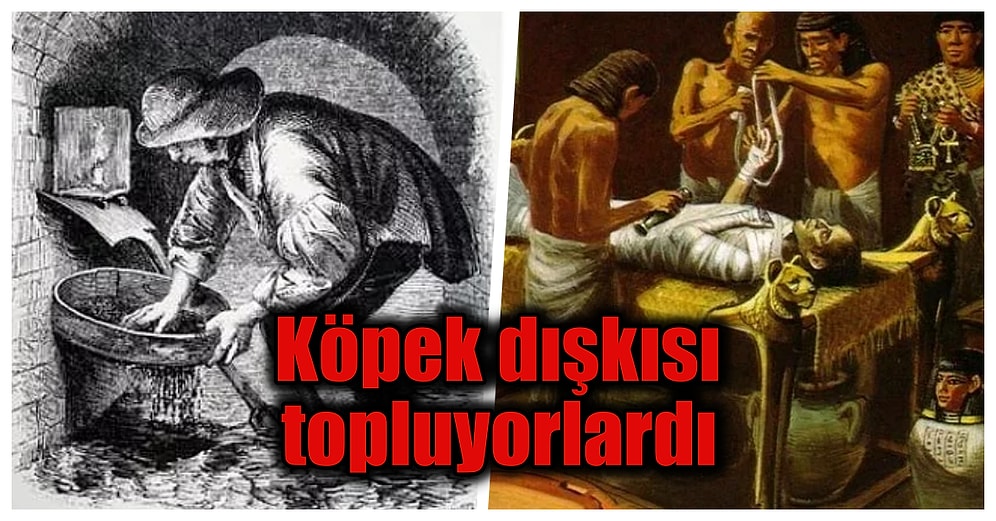 Tarihte Var Olmuş Birbirinden Ürkütücü Bu Meslekleri Öğrendikten Sonra Kendi İşinizi Daha Çok Seveceksiniz