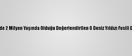 Çanakkale'de 2 Milyon Yaşında Olduğu Değerlendirilen 6 Deniz Yıldızı Fosili Ele Geçirildi