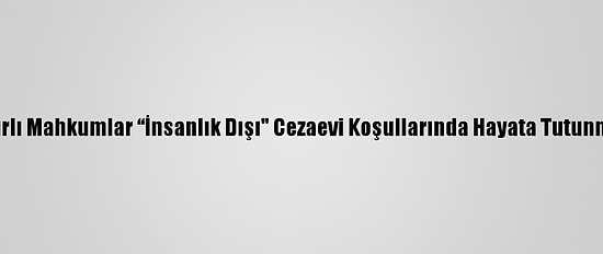 Af Örgütü: Mısırlı Mahkumlar “İnsanlık Dışı" Cezaevi Koşullarında Hayata Tutunmaya Çalışıyor