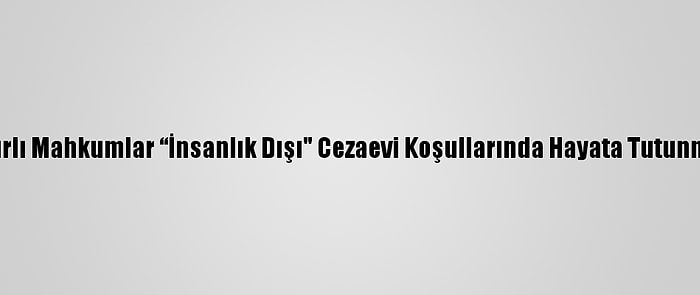 Af Örgütü: Mısırlı Mahkumlar “İnsanlık Dışı" Cezaevi Koşullarında Hayata Tutunmaya Çalışıyor