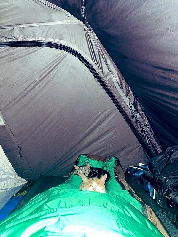 5. Путешественник проснулся ночью, почувствовав тяжесть на ногах. И вот, что он увидел