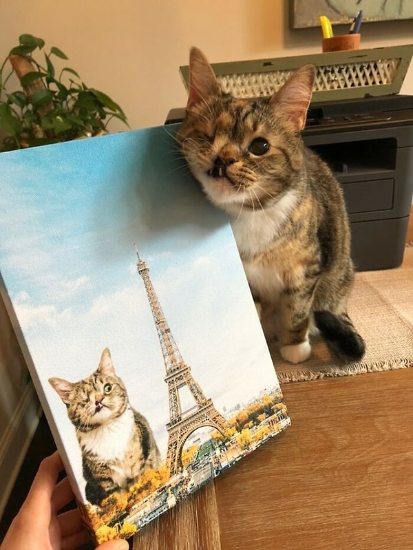 6. Знакомьтесь, это Пени)