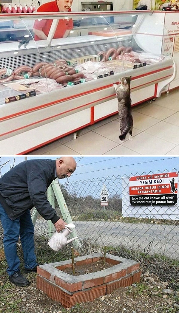 15. Ты всегда будешь в наших сердцах