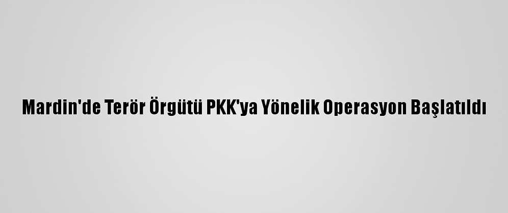 Mardin'de Terör Örgütü PKK'ya Yönelik Operasyon Başlatıldı
