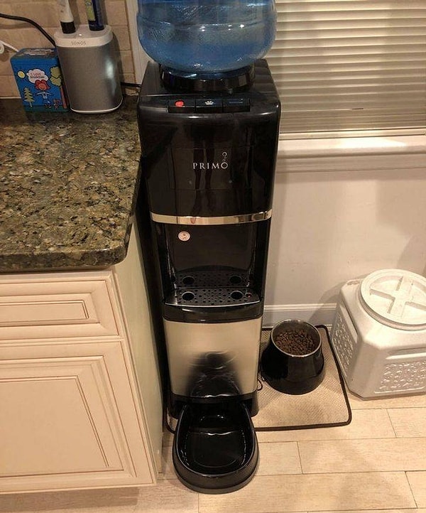 19. "У моего кулера для воды есть встроенная поилка для домашних животных".