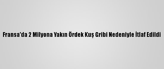 Fransa'da 2 Milyona Yakın Ördek Kuş Gribi Nedeniyle İtlaf Edildi