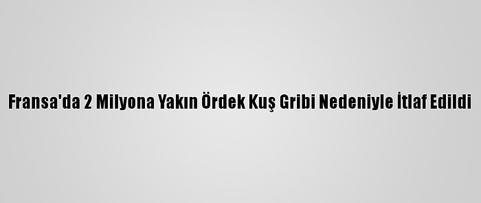 Fransa'da 2 Milyona Yakın Ördek Kuş Gribi Nedeniyle İtlaf Edildi