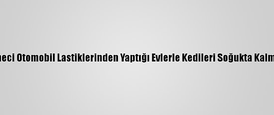 Bingöllü İşletmeci Otomobil Lastiklerinden Yaptığı Evlerle Kedileri Soğukta Kalmaktan Kurtardı