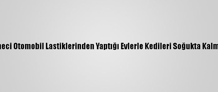 Bingöllü İşletmeci Otomobil Lastiklerinden Yaptığı Evlerle Kedileri Soğukta Kalmaktan Kurtardı