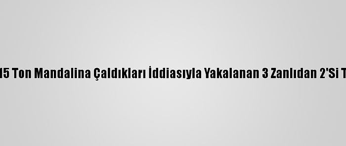 Adana'da 15 Ton Mandalina Çaldıkları İddiasıyla Yakalanan 3 Zanlıdan 2'Si Tutuklandı