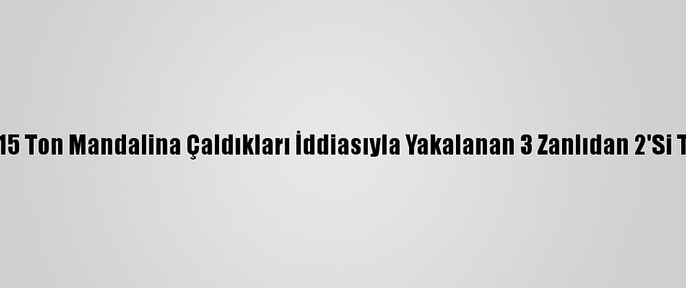 Adana'da 15 Ton Mandalina Çaldıkları İddiasıyla Yakalanan 3 Zanlıdan 2'Si Tutuklandı
