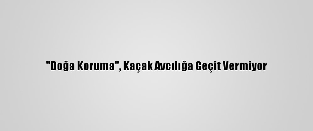 "Doğa Koruma", Kaçak Avcılığa Geçit Vermiyor