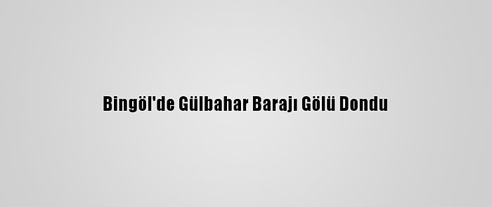 Bingöl'de Gülbahar Barajı Gölü Dondu