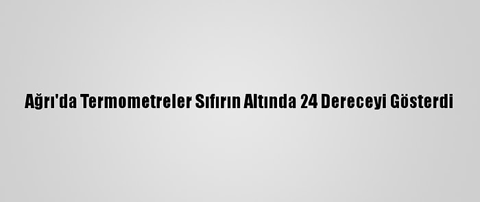 Ağrı'da Termometreler Sıfırın Altında 24 Dereceyi Gösterdi