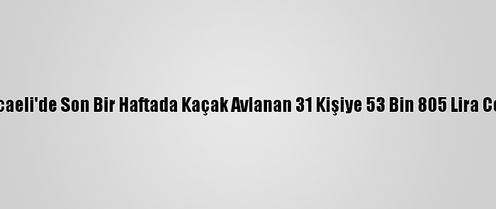 Kocaeli'de Son Bir Haftada Kaçak Avlanan 31 Kişiye 53 Bin 805 Lira Ceza