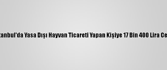İstanbul'da Yasa Dışı Hayvan Ticareti Yapan Kişiye 17 Bin 400 Lira Ceza