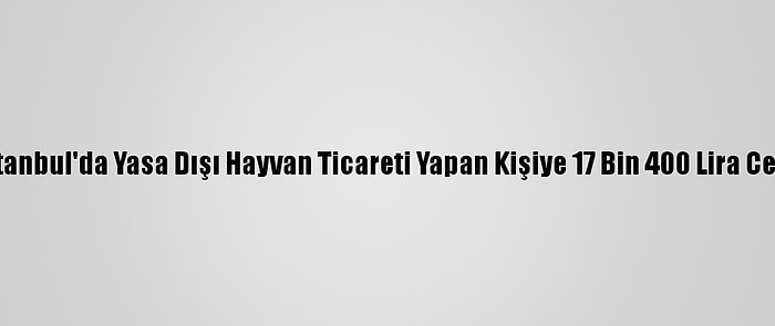 İstanbul'da Yasa Dışı Hayvan Ticareti Yapan Kişiye 17 Bin 400 Lira Ceza