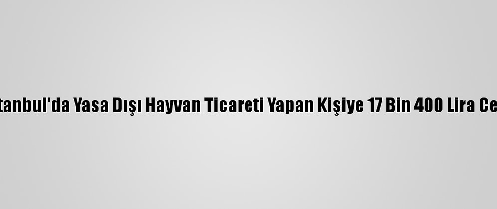 İstanbul'da Yasa Dışı Hayvan Ticareti Yapan Kişiye 17 Bin 400 Lira Ceza
