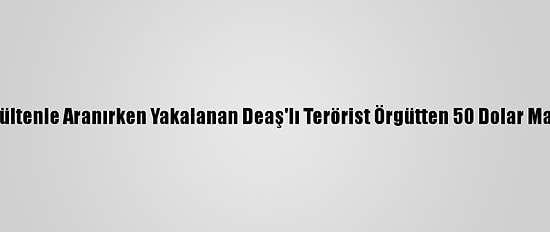 Kırmızı Bültenle Aranırken Yakalanan Deaş'lı Terörist Örgütten 50 Dolar Maaş Almış