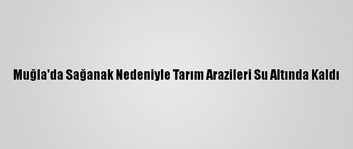 Muğla'da Sağanak Nedeniyle Tarım Arazileri Su Altında Kaldı