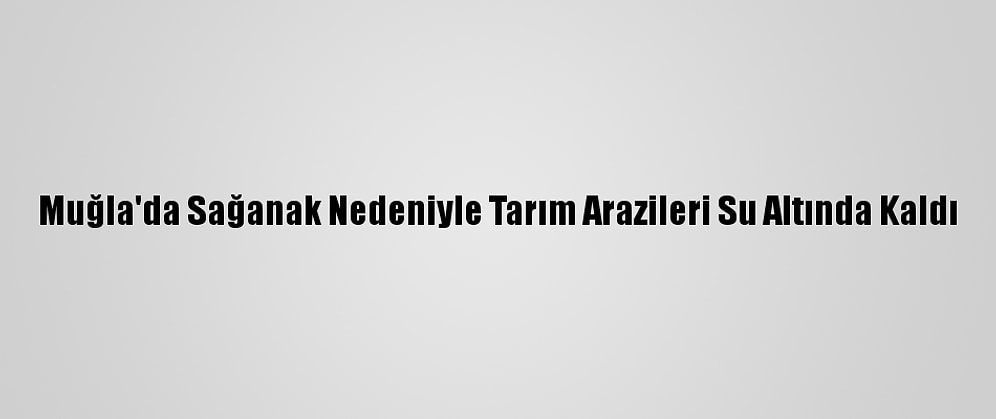 Muğla'da Sağanak Nedeniyle Tarım Arazileri Su Altında Kaldı