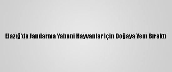 Elazığ'da Jandarma Yabani Hayvanlar İçin Doğaya Yem Bıraktı