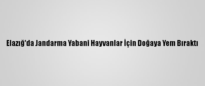 Elazığ'da Jandarma Yabani Hayvanlar İçin Doğaya Yem Bıraktı