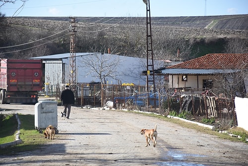 Sıfır Vaka! İşte Şu Ana Kadar Hiç Kimsenin Koronavirüs'e Yakalanmadığı Köyün Sırrı