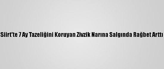 Siirt'te 7 Ay Tazeliğini Koruyan Zivzik Narına Salgında Rağbet Arttı