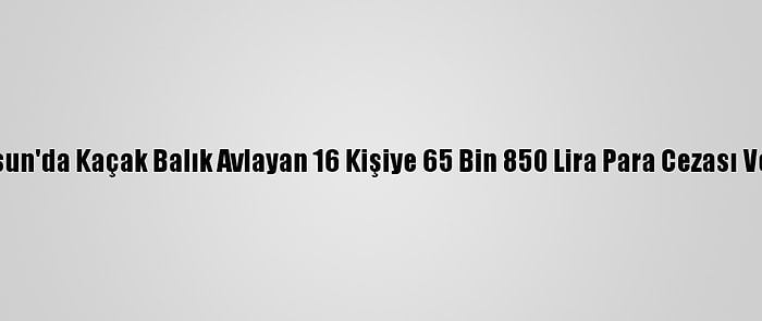 Samsun'da Kaçak Balık Avlayan 16 Kişiye 65 Bin 850 Lira Para Cezası Verildi