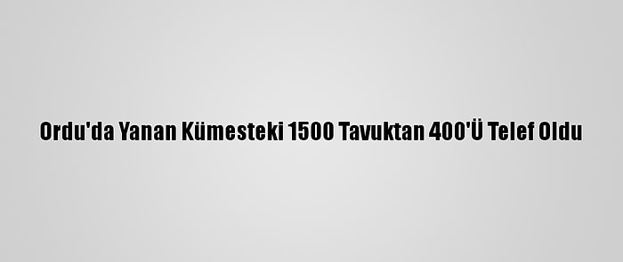 Ordu'da Yanan Kümesteki 1500 Tavuktan 400'Ü Telef Oldu