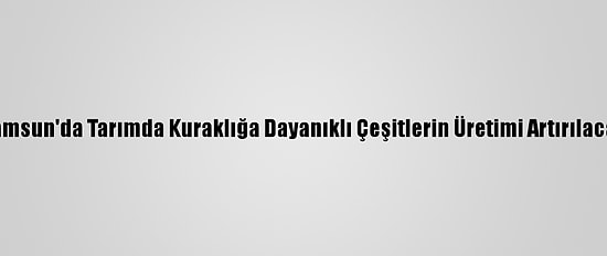 Samsun'da Tarımda Kuraklığa Dayanıklı Çeşitlerin Üretimi Artırılacak