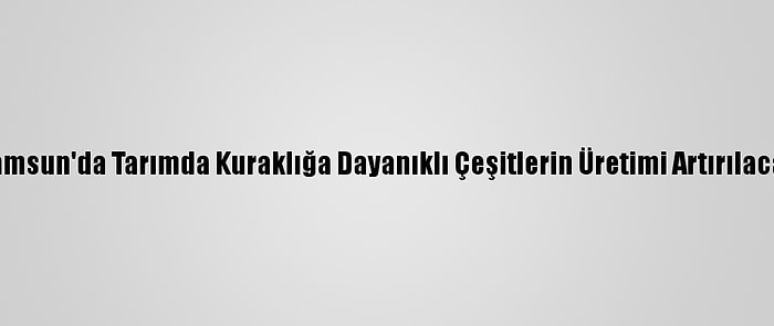 Samsun'da Tarımda Kuraklığa Dayanıklı Çeşitlerin Üretimi Artırılacak