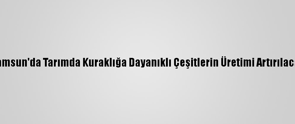 Samsun'da Tarımda Kuraklığa Dayanıklı Çeşitlerin Üretimi Artırılacak