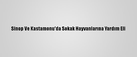 Sinop Ve Kastamonu'da Sokak Hayvanlarına Yardım Eli