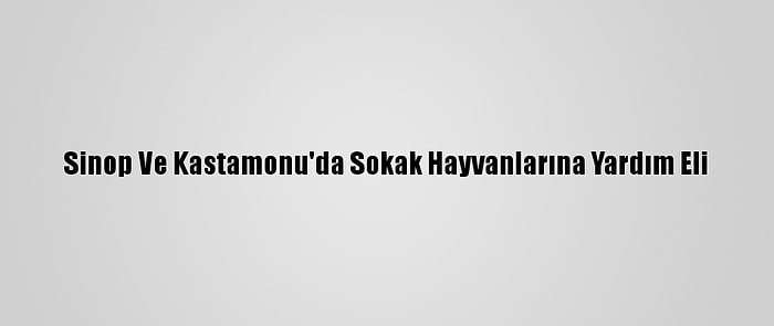 Sinop Ve Kastamonu'da Sokak Hayvanlarına Yardım Eli