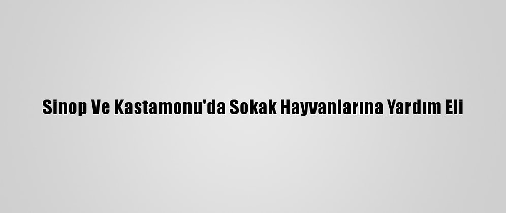 Sinop Ve Kastamonu'da Sokak Hayvanlarına Yardım Eli