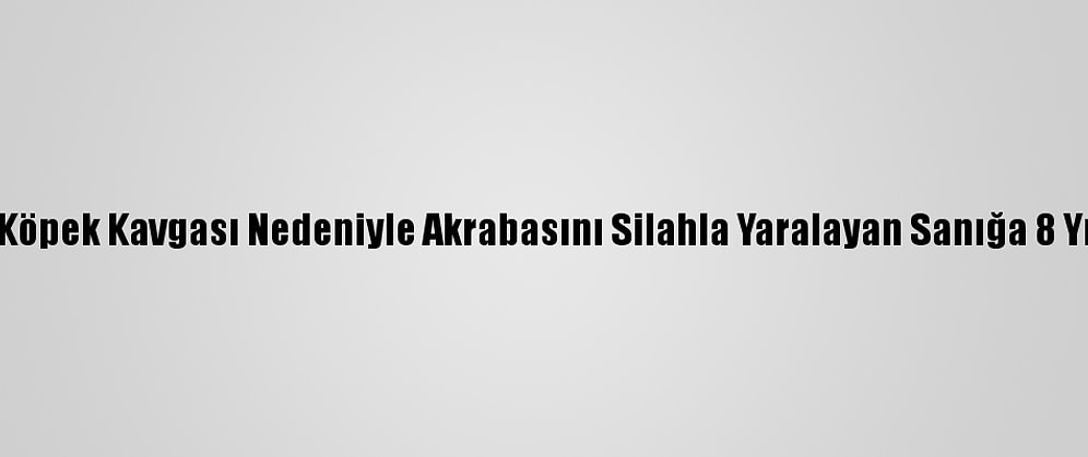 Kayseri'de Köpek Kavgası Nedeniyle Akrabasını Silahla Yaralayan Sanığa 8 Yıl 1 Ay Hapis
