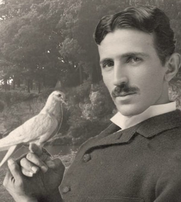 7. Nikola Tesla hayatının son dönemlerinde her gün parka gider ve güvercinleri beslerdi. Hatta yaralı bir tanesini iyileştirmek üzere otel odasına getirmiş, sonrasında o beyaz güvercin tarafından defalarca ziyaret edilmişti.