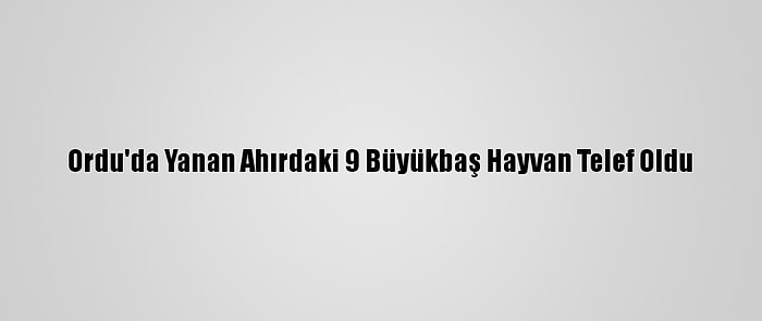 Ordu'da Yanan Ahırdaki 9 Büyükbaş Hayvan Telef Oldu