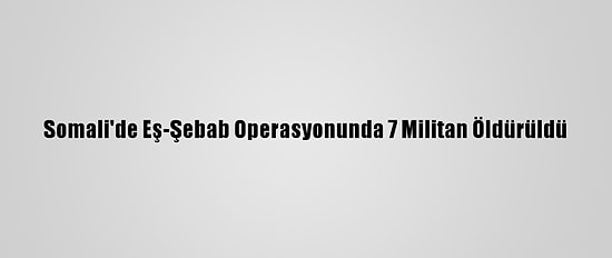 Somali'de Eş-Şebab Operasyonunda 7 Militan Öldürüldü