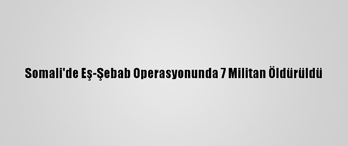 Somali'de Eş-Şebab Operasyonunda 7 Militan Öldürüldü