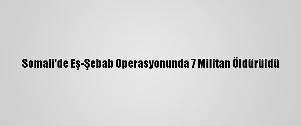 Somali'de Eş-Şebab Operasyonunda 7 Militan Öldürüldü