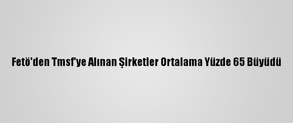 Fetö'den Tmsf'ye Alınan Şirketler Ortalama Yüzde 65 Büyüdü