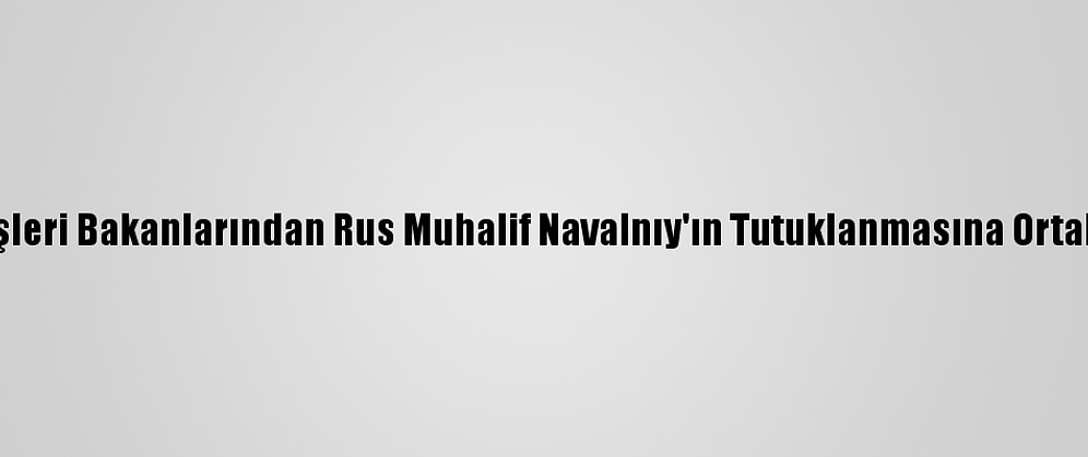G7 Dışişleri Bakanlarından Rus Muhalif Navalnıy'ın Tutuklanmasına Ortak Tepki: