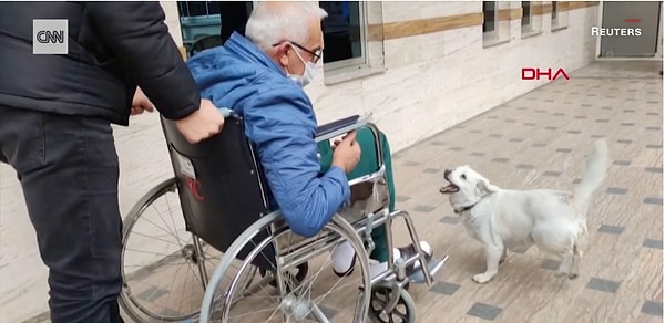 5. Сложно переоценить радость Бонджука при виде своего любимого хозяина, когда его наконец-то выписали из больницы!